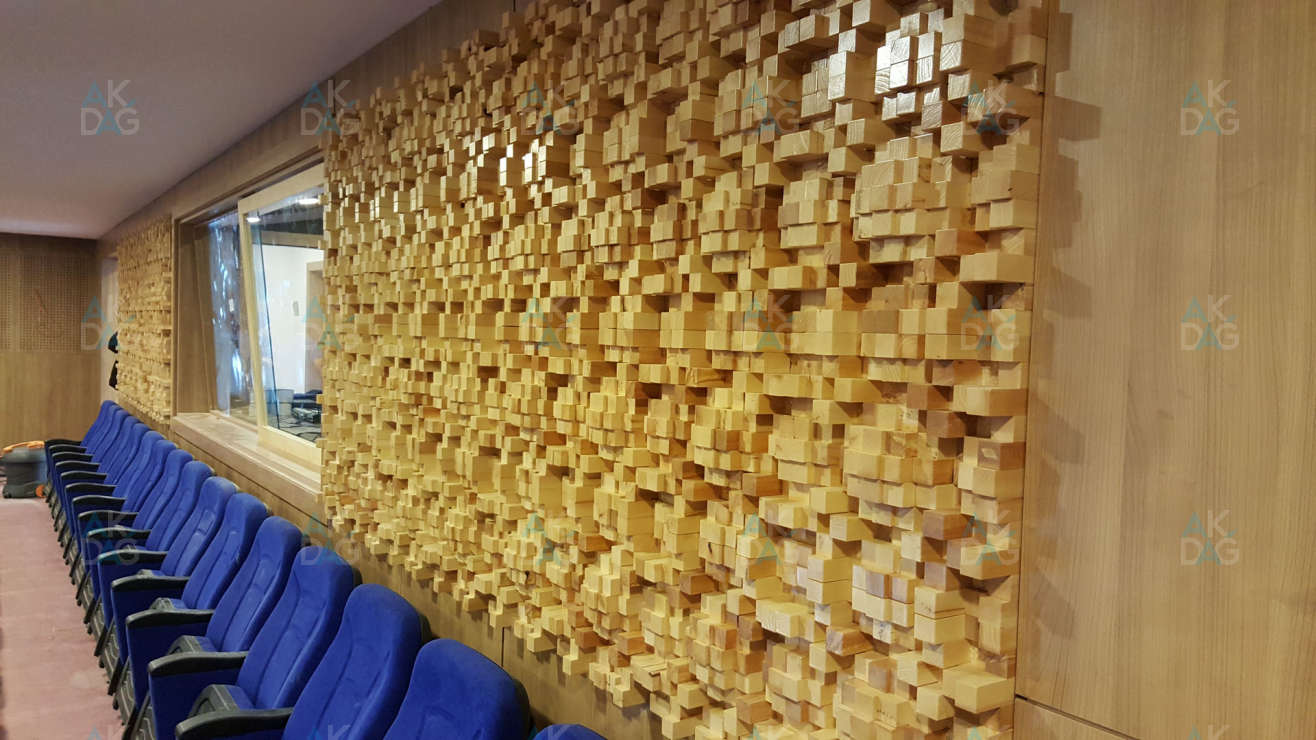 TED Izmit Conference Hall 5